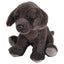 Peluche Pocketkins Eco Dog Labrador Chocolate WILD REPUBLIC