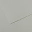 PAPEL MI-TEINTES 50X65 160GR GRIS CIELO | 10 UNIDADES | (GUARRO & CANSON)