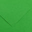 CARTULINA GUARRO 50X65 120GRS IRIS VERDE BILLAR | 25 UNIDADES | (GUARRO & CANSON)