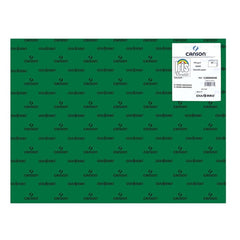 CARTULINA GUARRO 50X65 185GRS IRIS VERDE AMAZONAS | 25 UNIDADES | (GUARRO & CANSON)