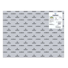 CARTULINA GUARRO 50X65 185GRS IRIS GRIS CLARO | 25 UNIDADES | (GUARRO & CANSON)