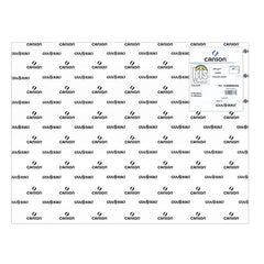 CARTULINA GUARRO 50X65 240 GRAMOS IRIS BLANCO | 25 UNIDADES | (GUARRO & CANSON)