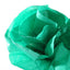 Rollo Papel Seda 50x500cm 20G Verde Selva Canson