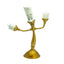 LAMPARA DISNEY LA BELLA Y LA BESTIA LUMIERE | ABYSSE | 1 UNIDAD | 3665361054085