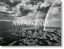 Sebastião Salgado. Amazônia. Postcard Set