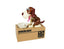 Hucha de Perro Winkee - Hucha infantil interactiva
