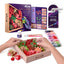 Set Madera DIY Suculentas Passion OKTO