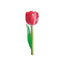 Marcapáginas Flores Tulipán Rosa The Company Called If House