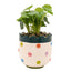 Macetero Burbujas con Flores y Planta Artificial WIDDOP