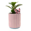 Maceta Disney Angel y Planta Artificial WIDDOP Disney