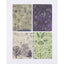 Set 4 Cuadernos de Bolsillo Plantas y Hongos Cognitive Ciencia
