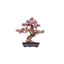 Maqueta Sakura Bonsai ROLIFE Madnesstoys Maquetas
