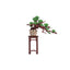 MAQUETA EVERGREEN PINE BONSAI | ROLIFE MADNESSTOYS MAQUETAS | 1 UNIDAD | 6946785122145