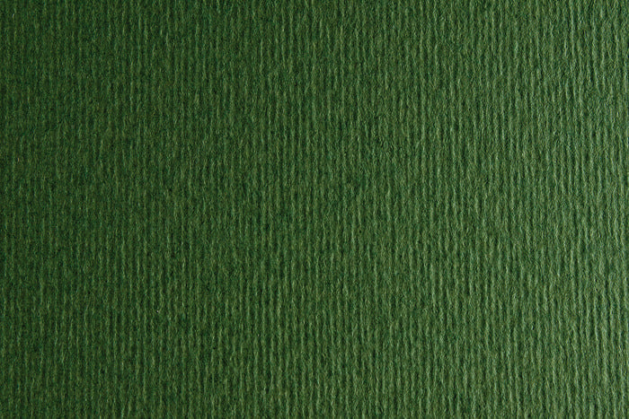 CARTULINA SADIPAL LISO/RUGOSO 50X70 VERDONE | 20 UNIDADES | (SADIPAL)