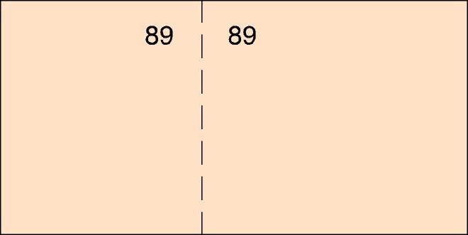TALONARIO CAJA 1/6 DEL CUARTO T-29 PAQUETE NARANJA | 20 UNIDADES | (LOAN INDUSTRIAS GRAFICAS)