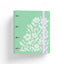 Carpebloc 360 PP Print2 4 Anillas 35 mm 100H 4Sep Verde CARCHIDEA