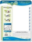 Paq/5 forro libros ajustable 29x52cm forralisto pp 120 micras