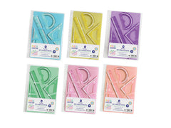 SET 4 REGLAS PASTEL CON FUNDA PORTADORA MULTITALADRO | 1 UNIDADES | (POESSA BISMARK BASICO)