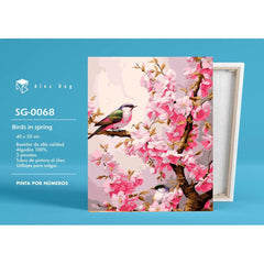PINTAR POR NUMEROS BIRDS IN SPRING | ROYMART | 1 UNIDAD | 8431234197891