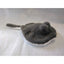Peluche Nature Silky Soft Raya 22 cm Aurora