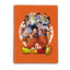 Carpeta Fundas A4 Dragon Ball Erik