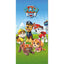 Toalla playa microfibra Paw Patrol 70 x 140 cm New Import SL