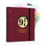 Carpeblock 4 Anillas Harry Potter Plataforma 9 3/4 Grupo Erik Merchandising