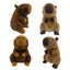 PELUCHE CAPIBARA 20 CM SURTIDO | GRUPO MOYA PELUCHES S,L | 1 UNIDAD | 8435776001258