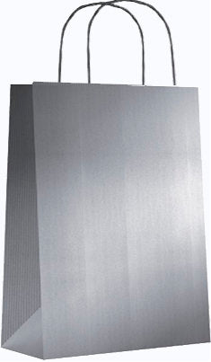 BOLSA KRAFT XS 18+8X24 PLATA | ANDINA | ENVASE 50 UDS. UNIDAD | 8436557057204
