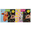 Set lámina para rascar scratch 20x24 cm 10 sheets surtido CCG