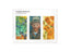 SET 3 MARCAPAGINAS MAGNETICOS VINCENT VAN GOGH | 1 UNIDADES | (WEBSHOP ARTE)