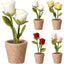Rosas Decorativas Fieltro en Maceta 19 cm Colores Surtidos Koopman