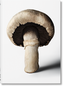 The Gourmand's Mushroom. A Collection of Stories and Recipes