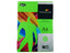 Papel A4 500H 80 g Paperline Verde Fuerte Parrot FABRISA