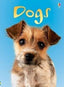 Dogs Beginners (Usborne Inglés) - 9780746080481