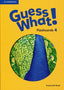 Guess What 4 Flashcards (Cambridge) - 9781107545465