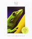 Zoology (Mc Graw Hill Education (UK)) - 9781259251740