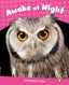 LEVEL 2: AWAKE AT NIGHT CLIL