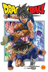 ✅ DRAGON BALL SUPER VOL 20 - 9781974743605