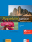 Aspekte junior b2, edición híbrida allango