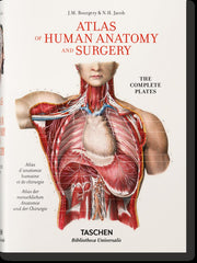 BOURGERY ATLAS OF ANATOMY ESITPO - 9783836556637