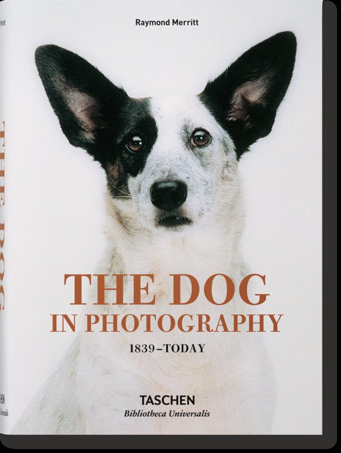 DOG IN PHOTOGRAPHY 1839 TODAY ALFRIN - 9783836567473