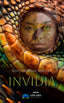 INVIDIA | Marquez,alexis Brunilda | 9788410162860 (Loto azul nuevo)