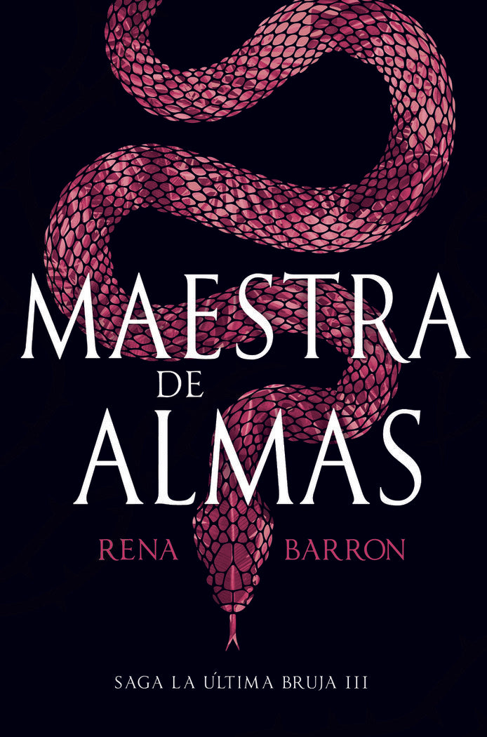MAESTRA DE ALMAS | Barron,rena | 9788410163225 (Hidra,editorial)
