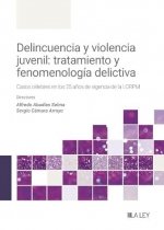 DELINCUENCIA Y VIOLENCIA JUVENIL TRATAMIENTO Y FENOMENOLOGI - 9788410292352