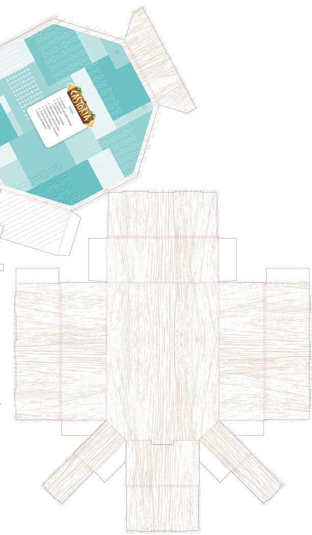 CASTORIA 5AÑOS EI 22 AREAS INTEGRADAS | GIRALDEZ HAYES, ANDREA/ONDIVIELA, LORENA | 9788411201513 (Sm)