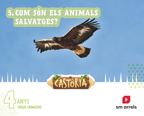 CASTORIA 4AÑOS EI 3oTRIMESTRE 22 VALENCIA AREAS INTEGRADAS | EQUIPO EDITORIAL SM | 9788411201827 (Sm)