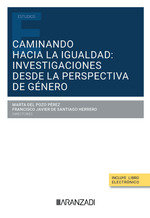CAMINANDO HACIA LA IGUALDAD INVESTIGACIONES DESDE LA PERSPE - 9788411624596