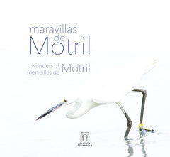 MARAVILLAS DE MOTRIL | MATEOS,RAFAEL | PUERTA GRANADA EDICIONES | 9788412263534