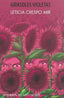 GIRASOLES VIOLETAS - 9788412428483
